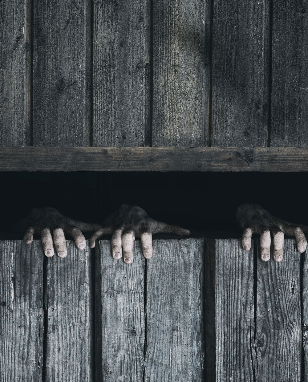 Hands - Image 4