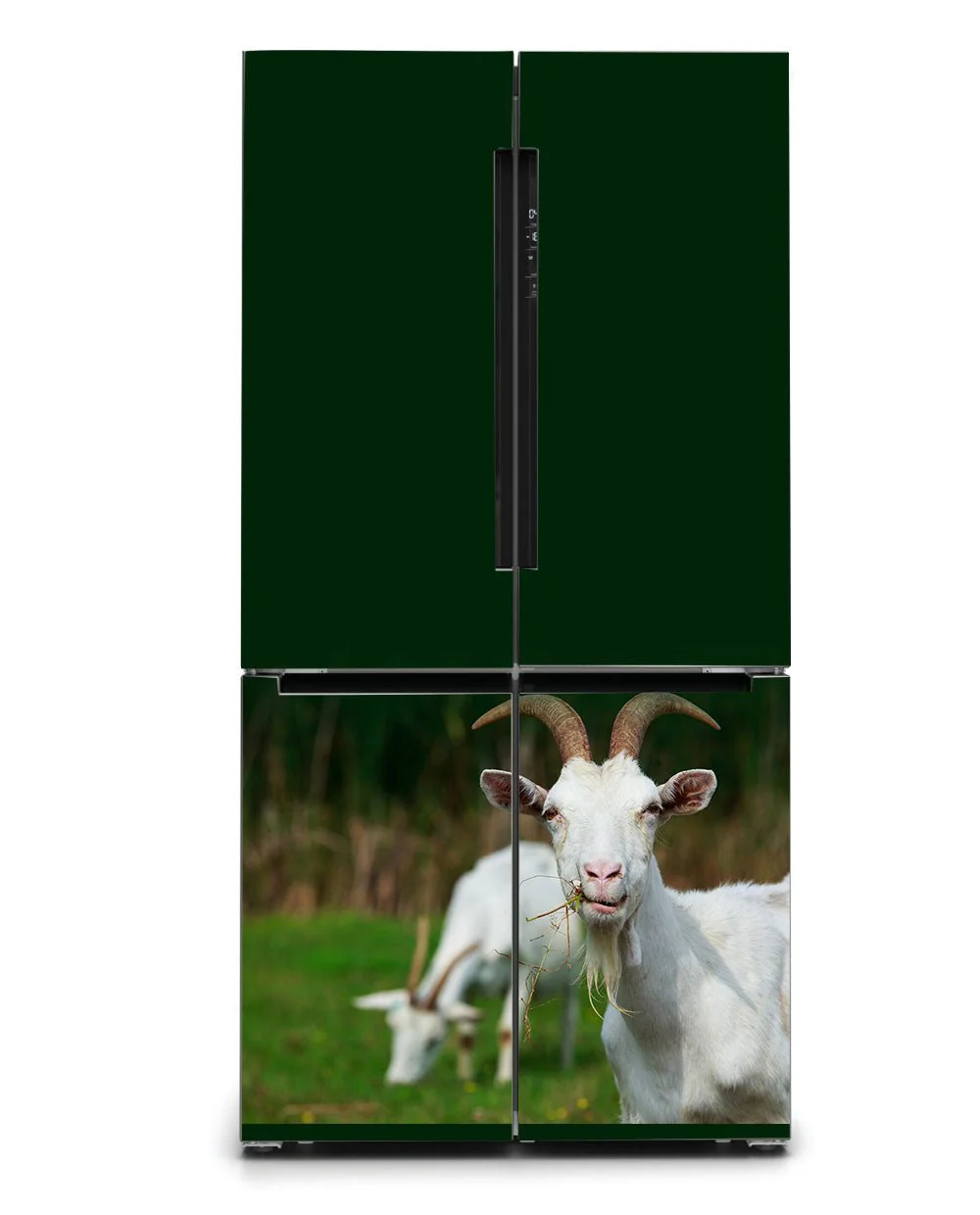 Hello goat - Image 3