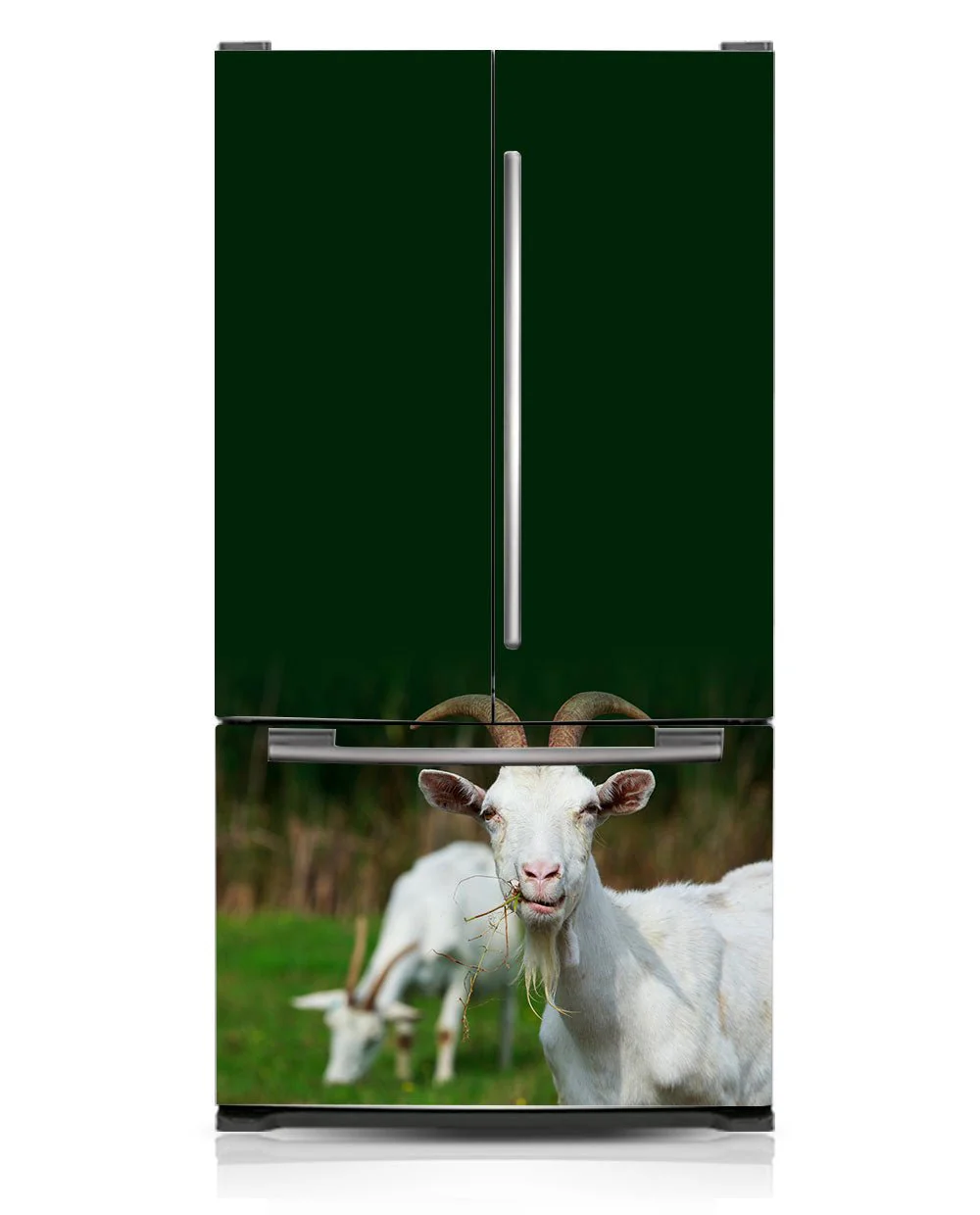 Hello goat - Image 4