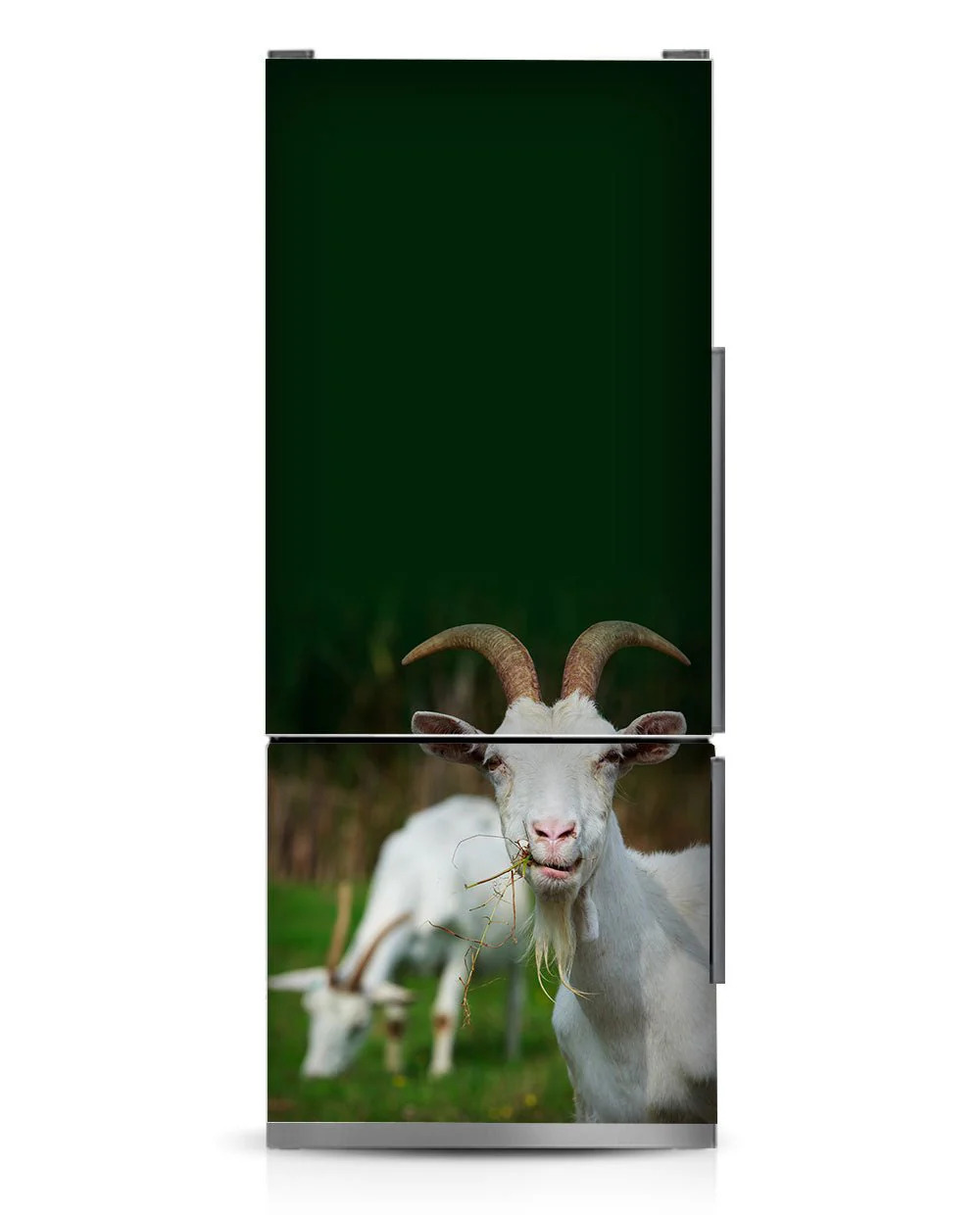 Hello goat - Image 7