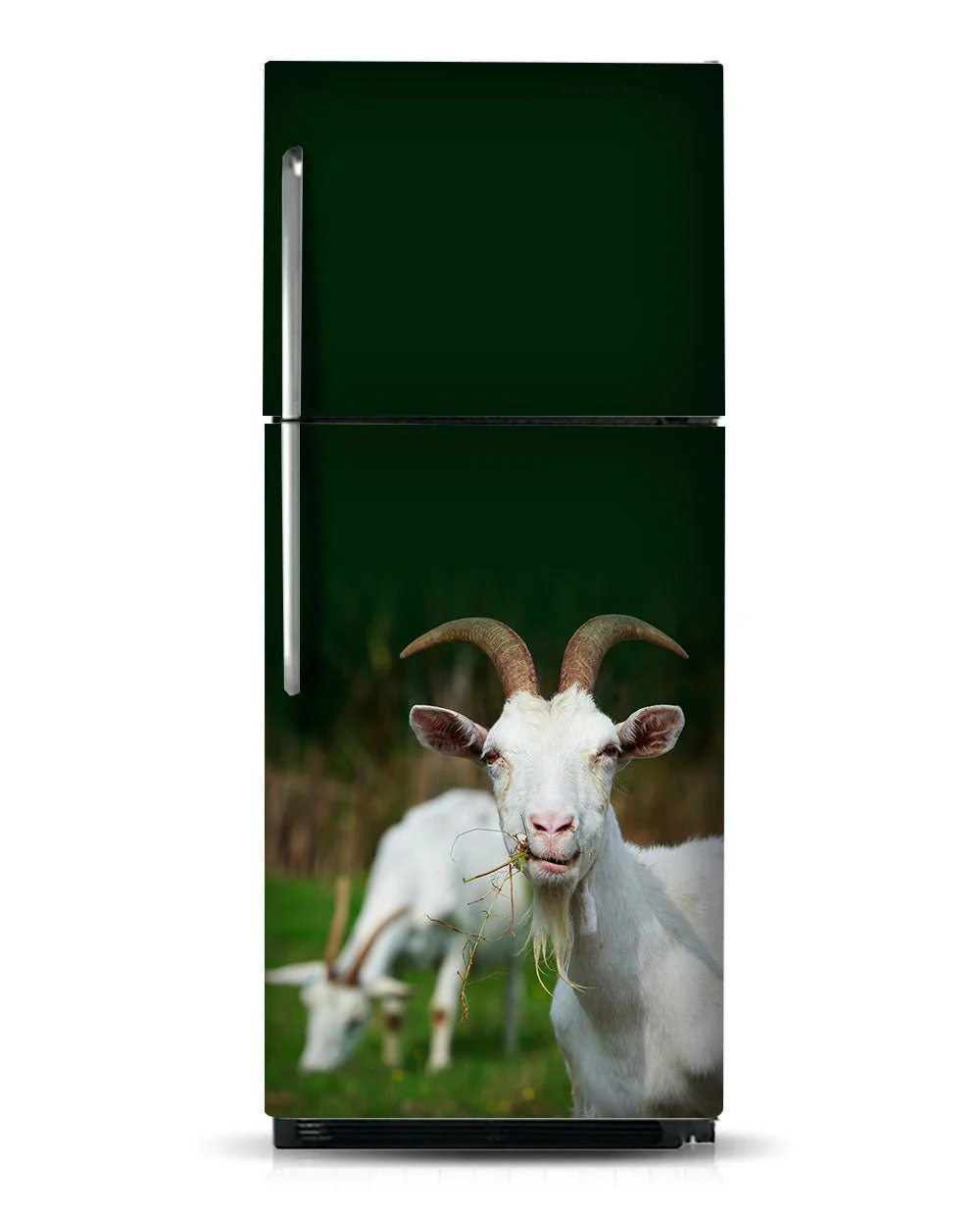 Hello goat - Image 8