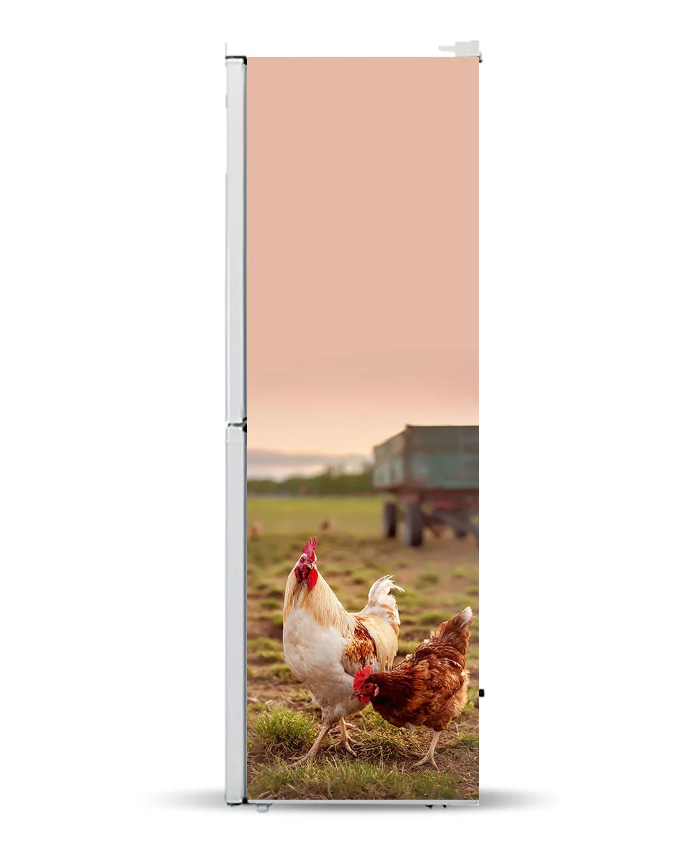 Hens - Image 10