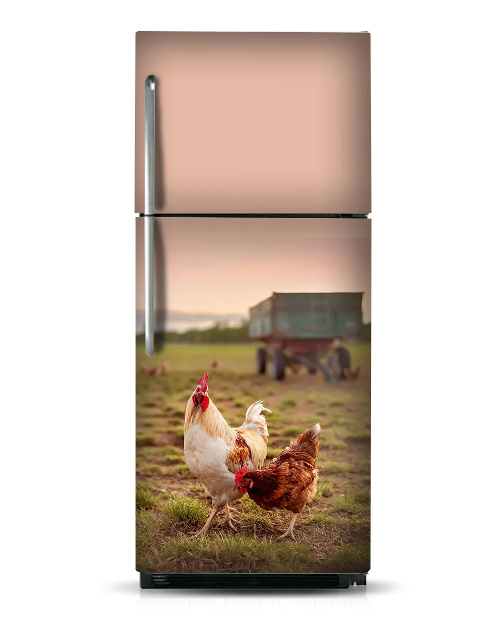 Hens - Image 3
