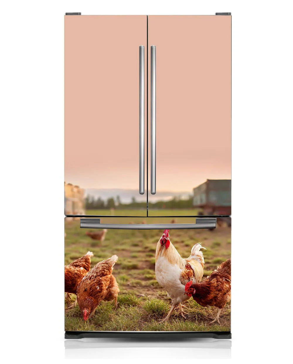 Hens - Image 7