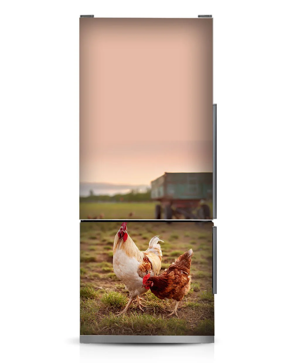 Hens - Image 8