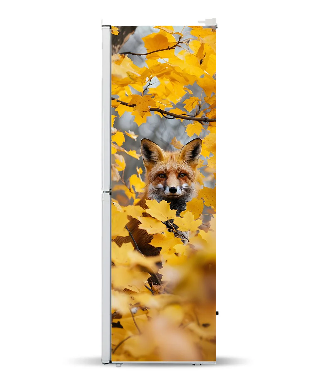 Fox in Fall - Image 6