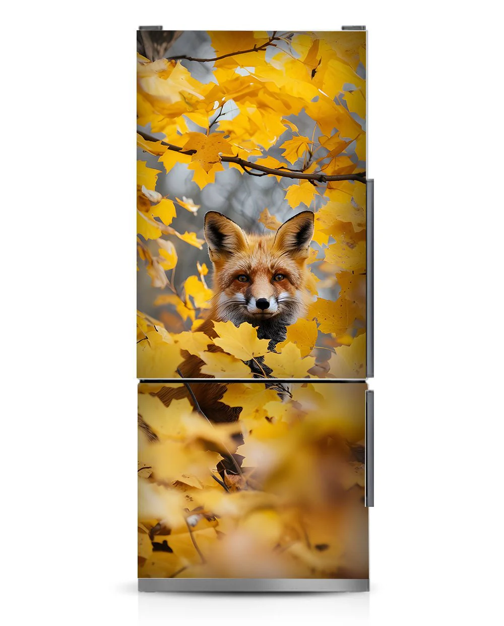 Fox in Fall - Image 8