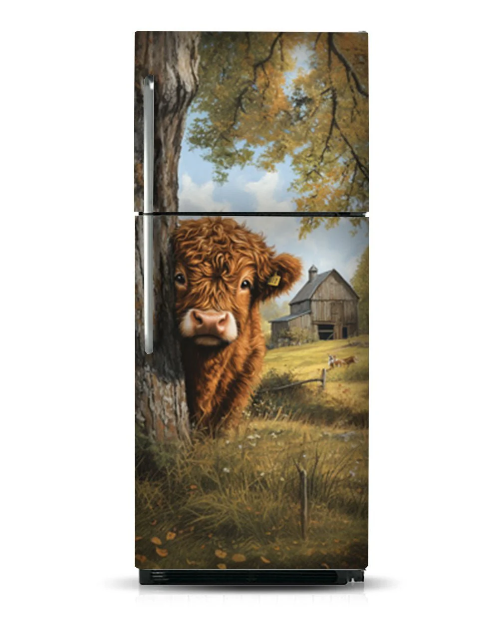 Highland calf illustration - Image 11