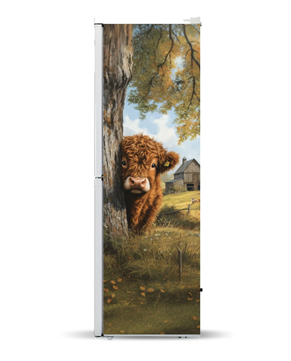 Highland calf illustration - Image 9