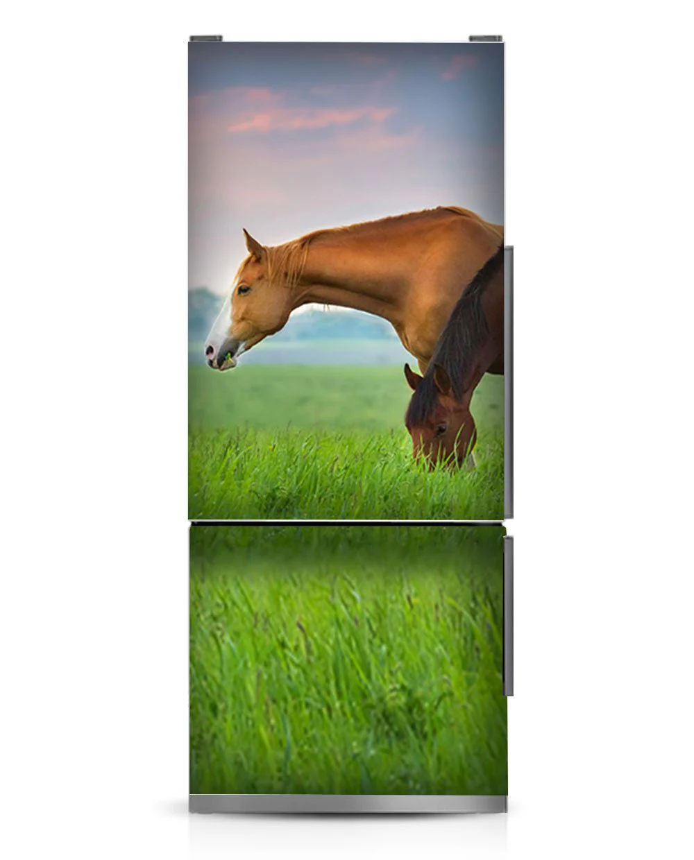 Horses - Image 7