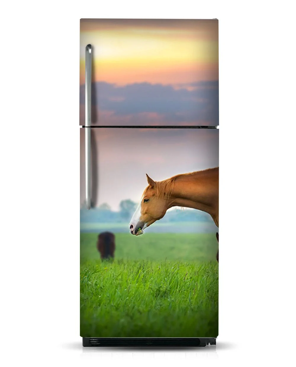 Horses - Image 8