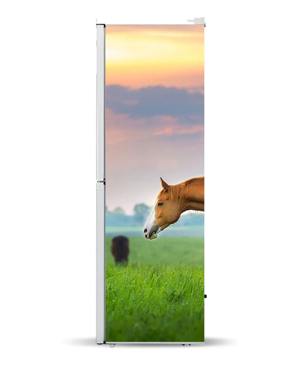 Horses - Image 9