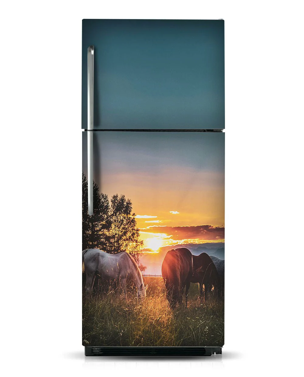 Horses at pasture - Image 7