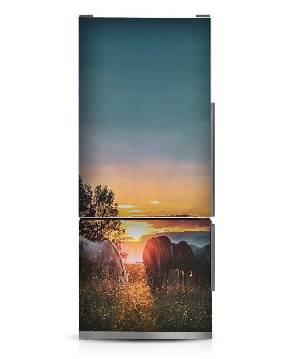 Horses at pasture - Image 9