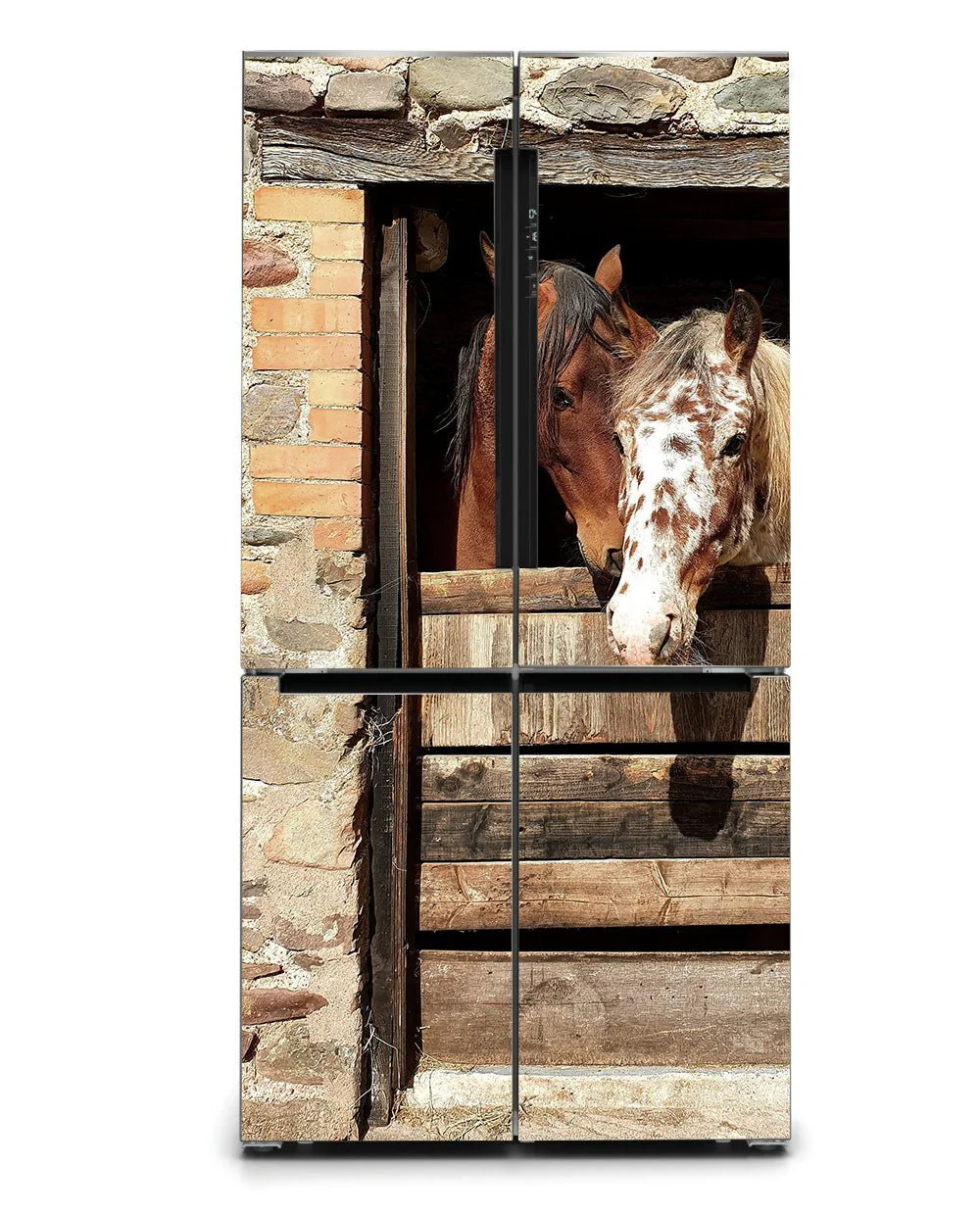 Horses friendship - Image 5