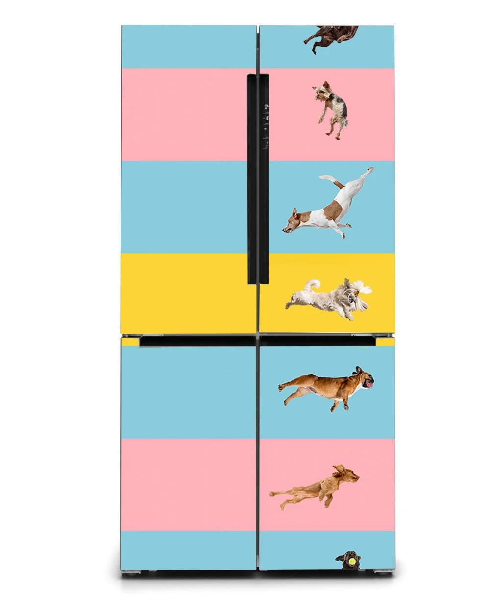 Jumping dogs - Image 4