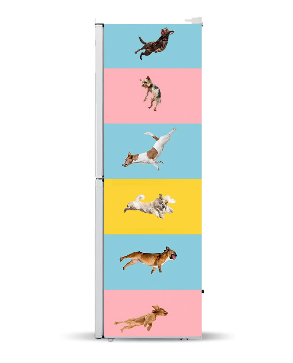 Jumping dogs - Image 6