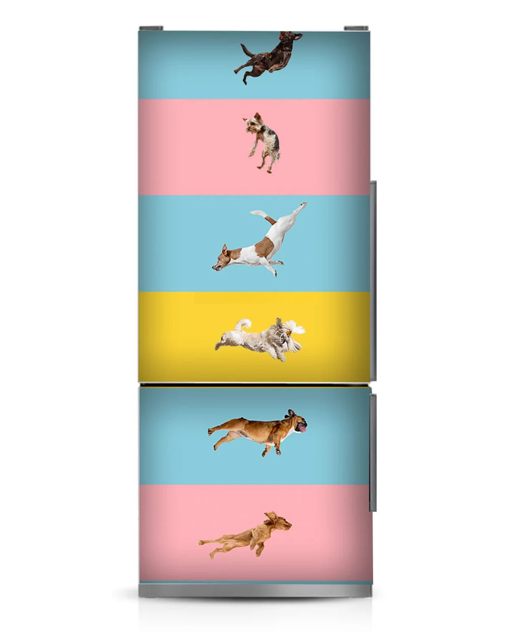 Jumping dogs - Image 7