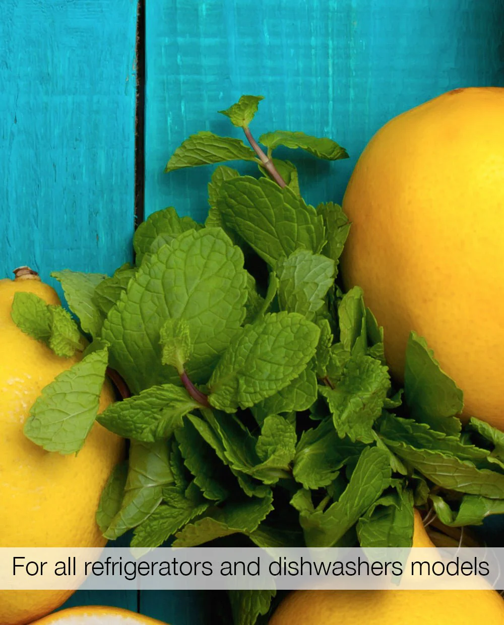 Lemons - Image 2