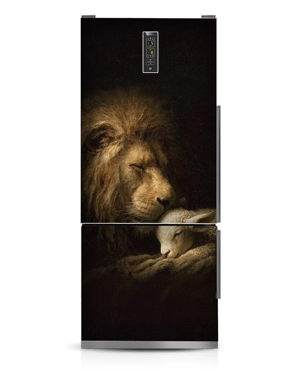 Lion & Lamb - Image 6