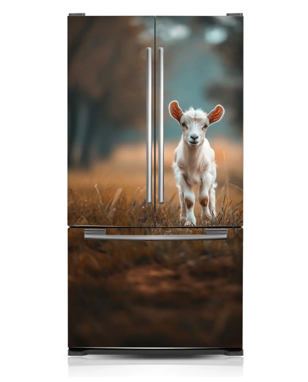 Mini goat