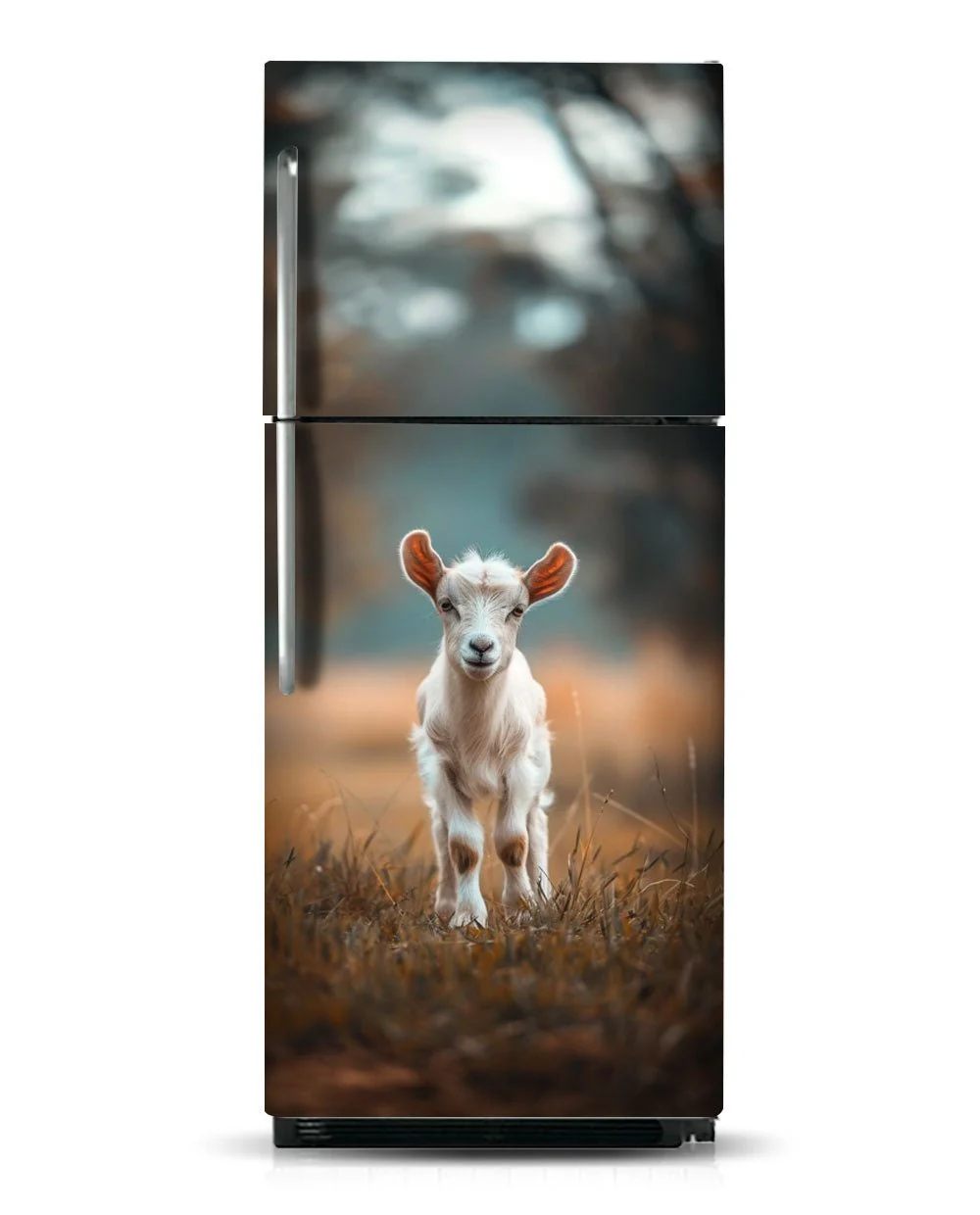 Mini goat - Image 7