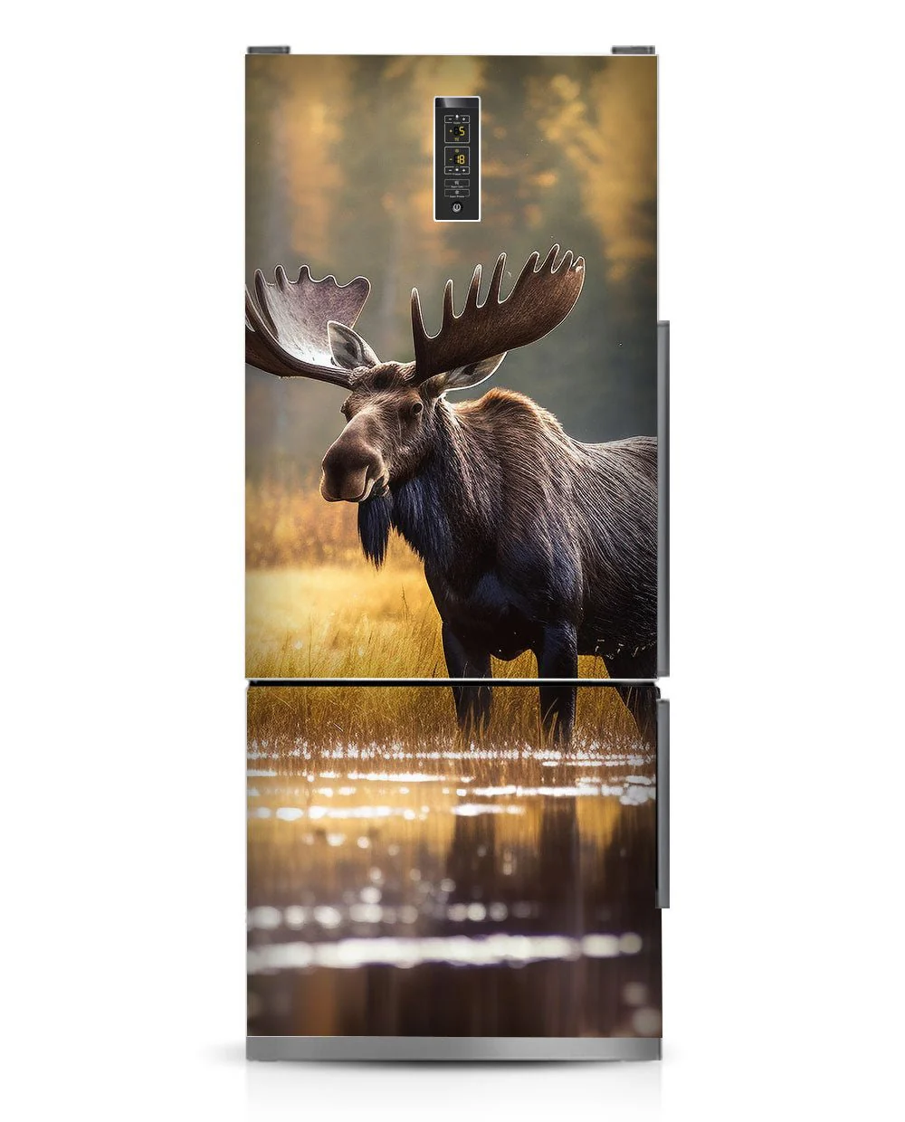 Moose - Image 20