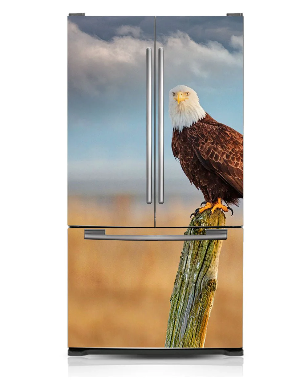 American Eagle