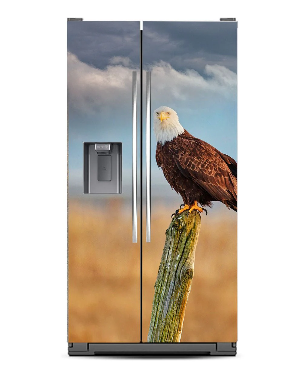 American Eagle - Image 10