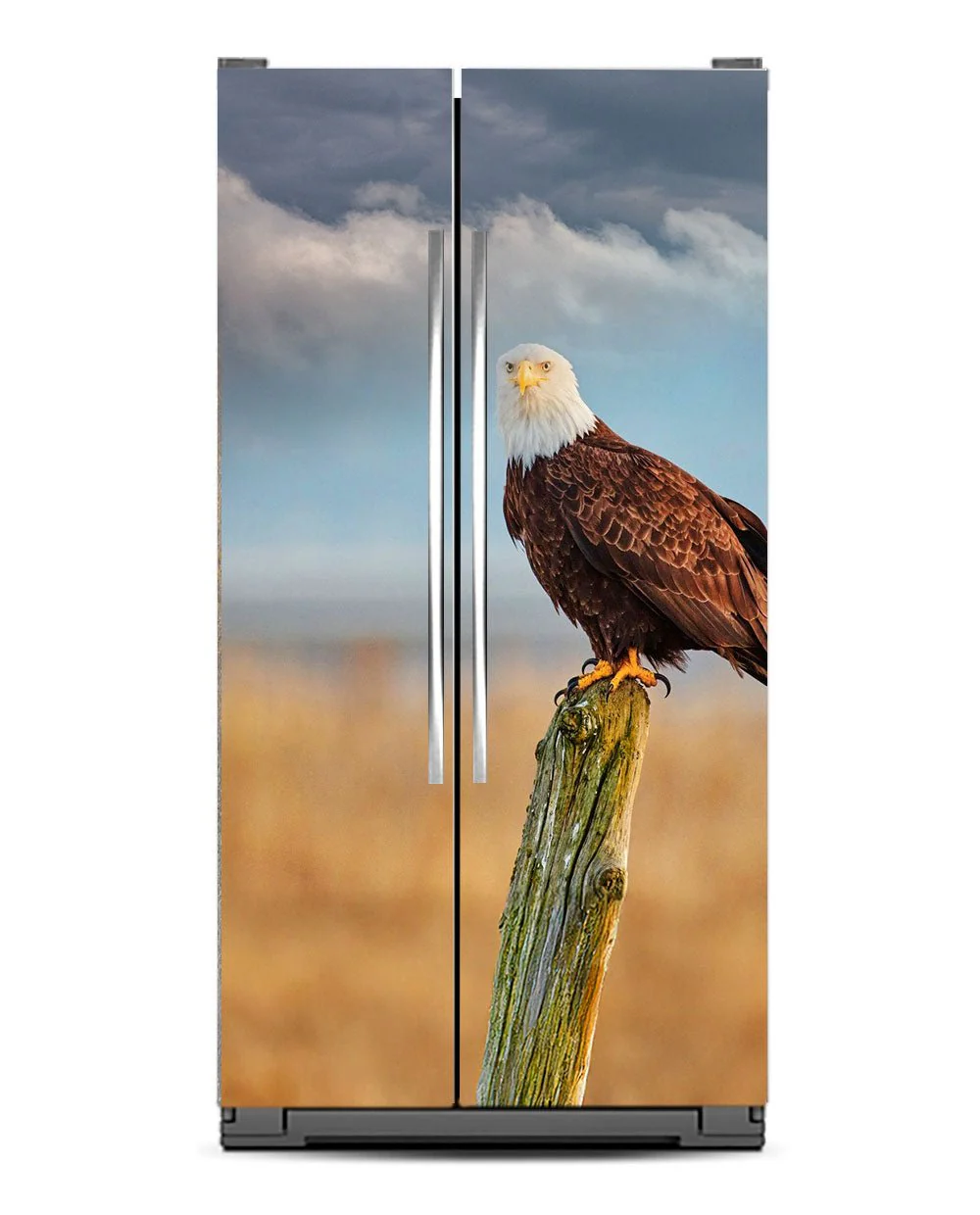 American Eagle - Image 11