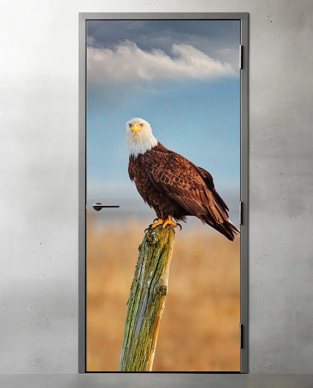 American Eagle - Image 12