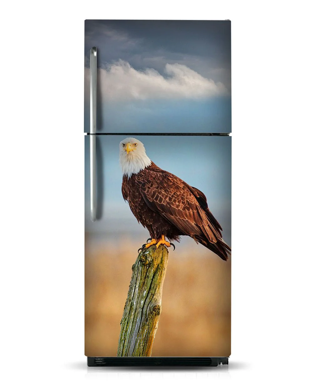 American Eagle - Image 13