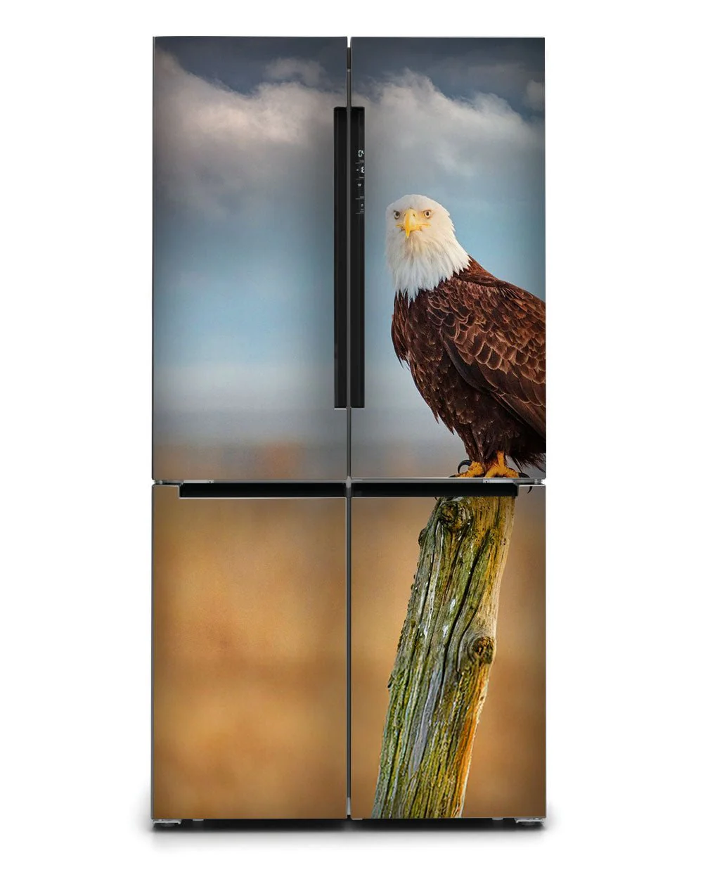 American Eagle - Image 4