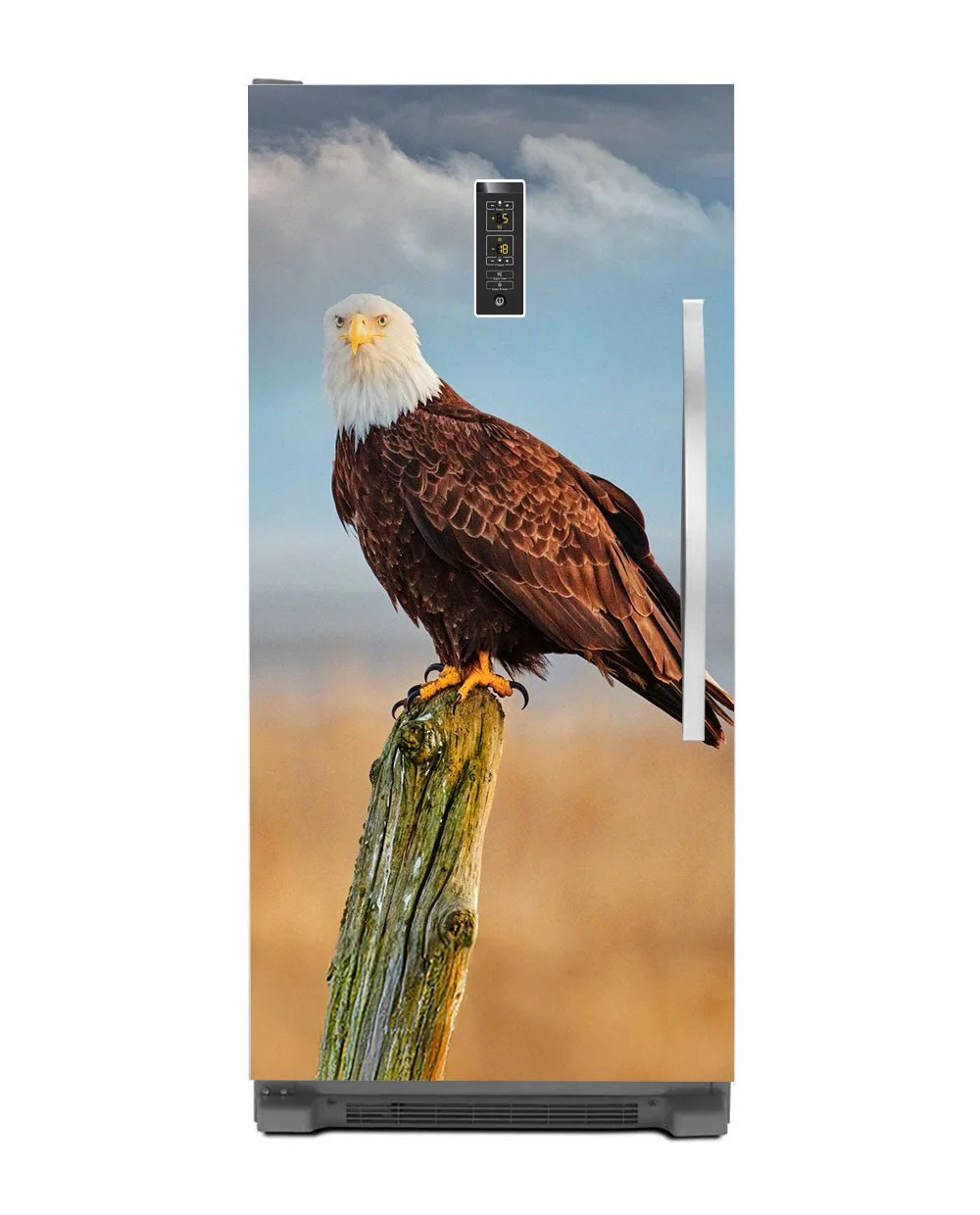 American Eagle - Image 9