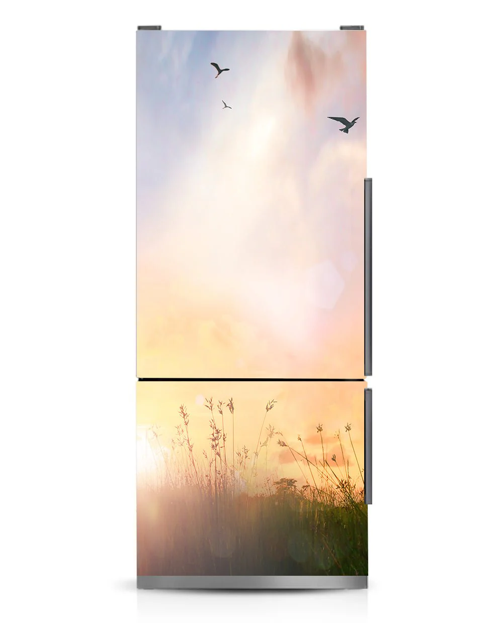 Morning in the field - Image 7
