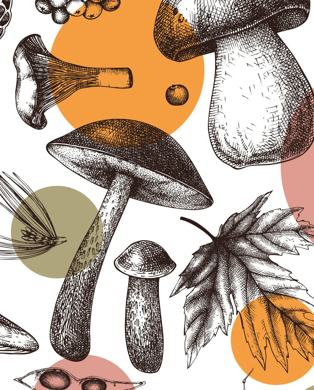 Mushrooms illustration - Image 9