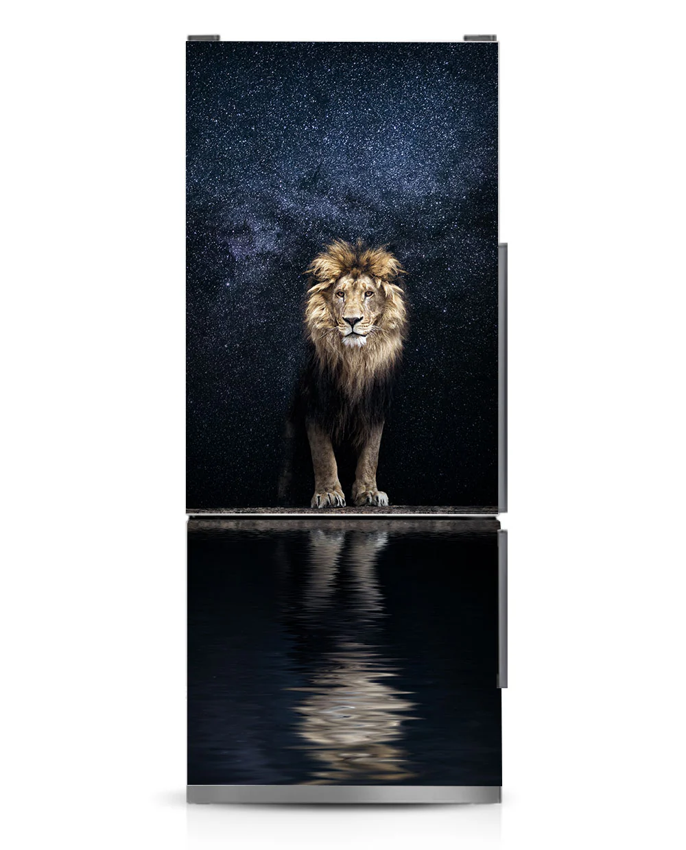 Night Lion - Image 9