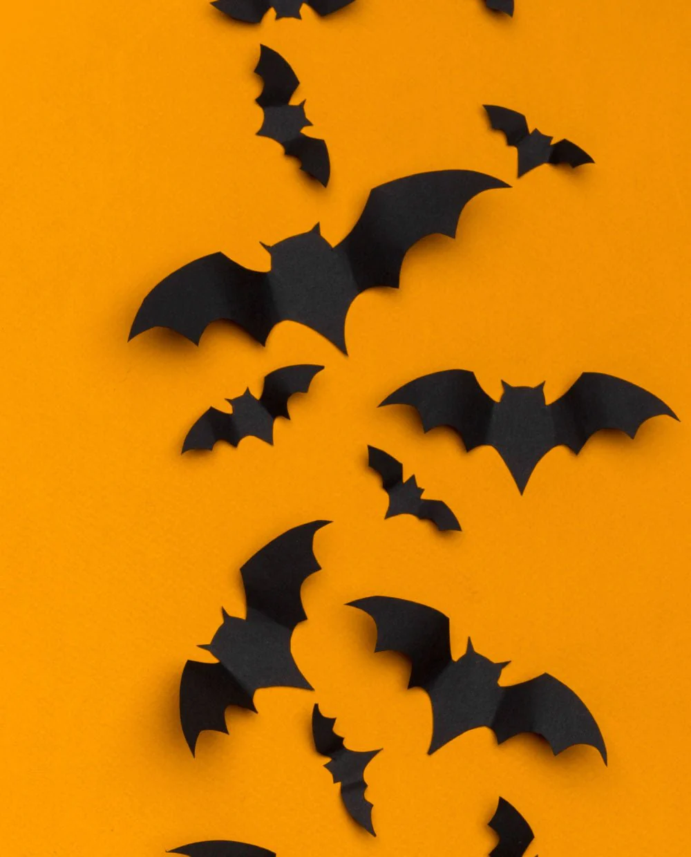 Orange Halloween - Image 4