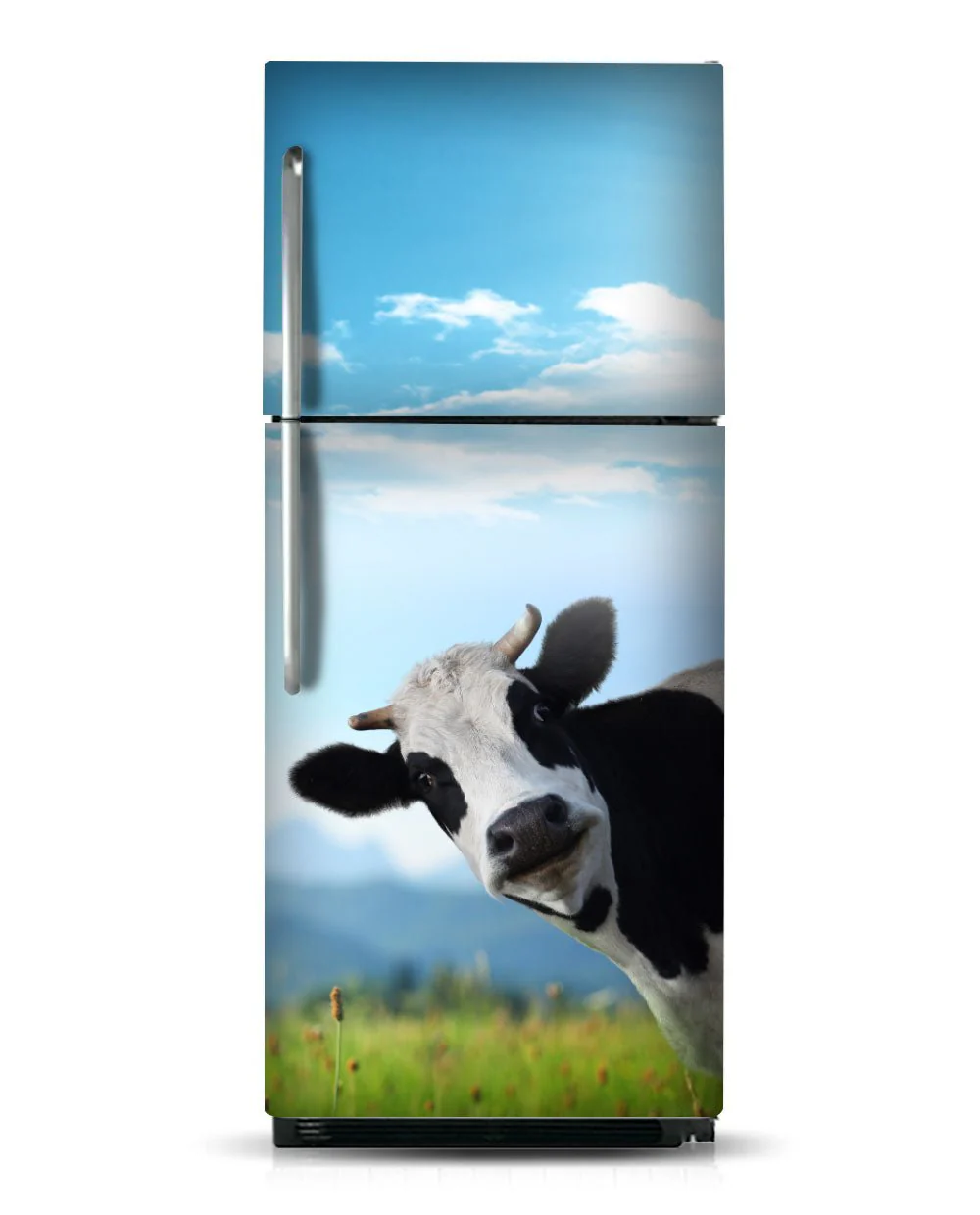 A Peeking cow - Image 8