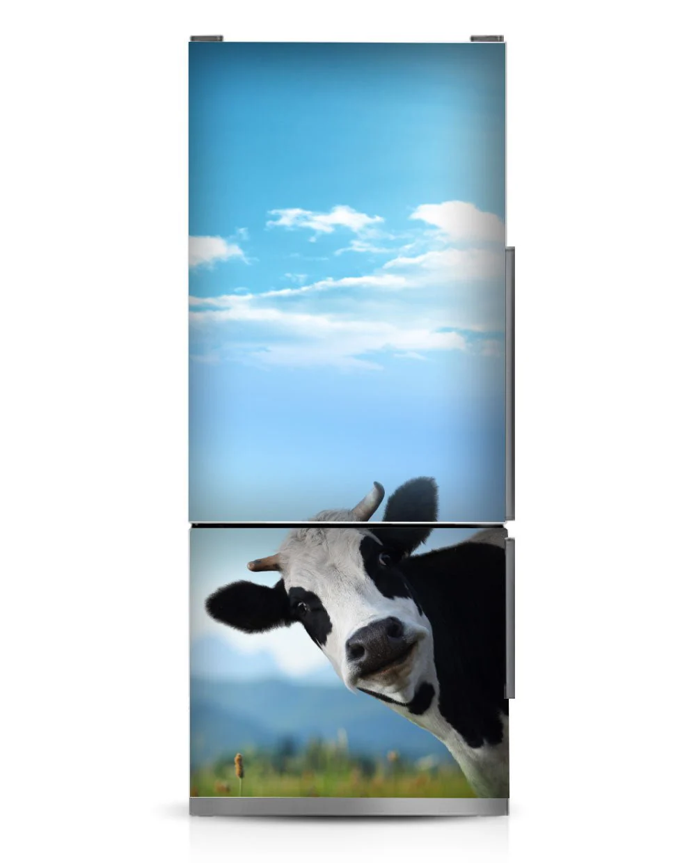 A Peeking cow - Image 9