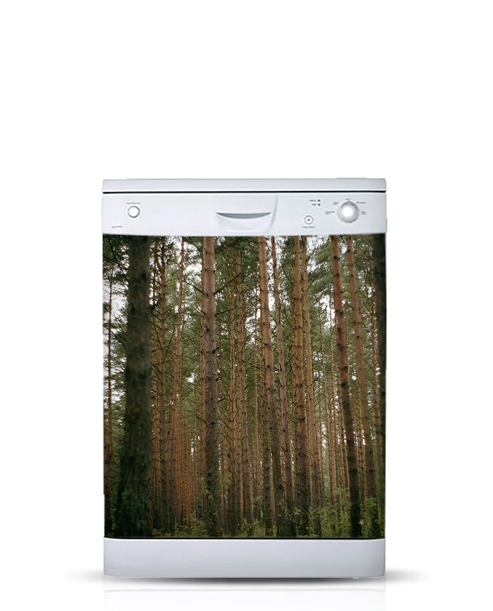 Pinery - Image 3