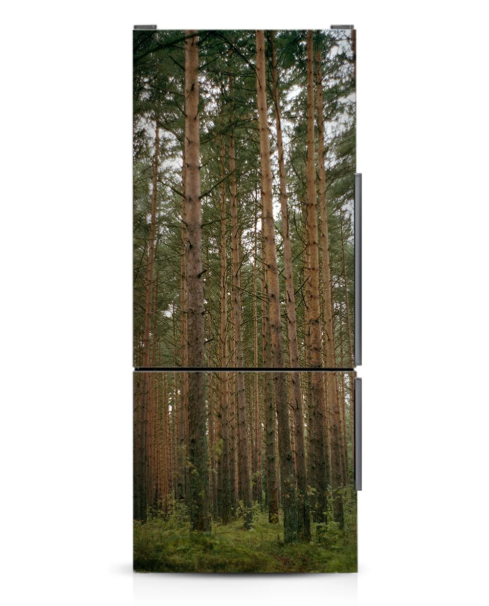 Pinery - Image 6