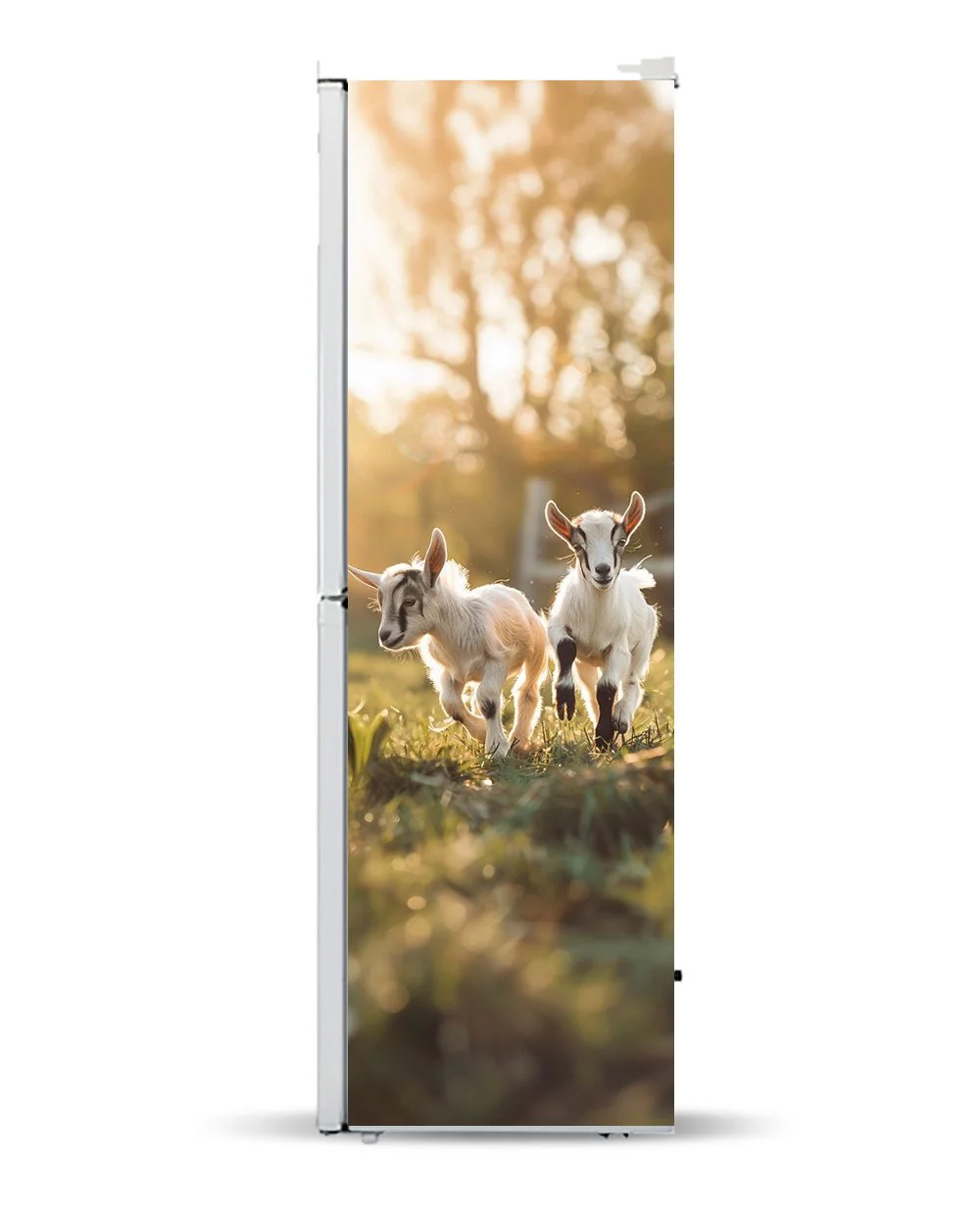 Playing goats - Image 5