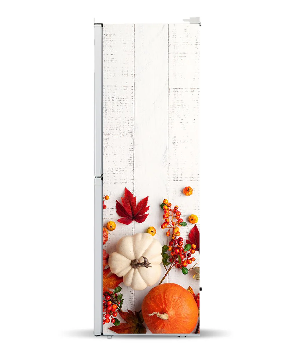 Pumpkins on white - Image 6