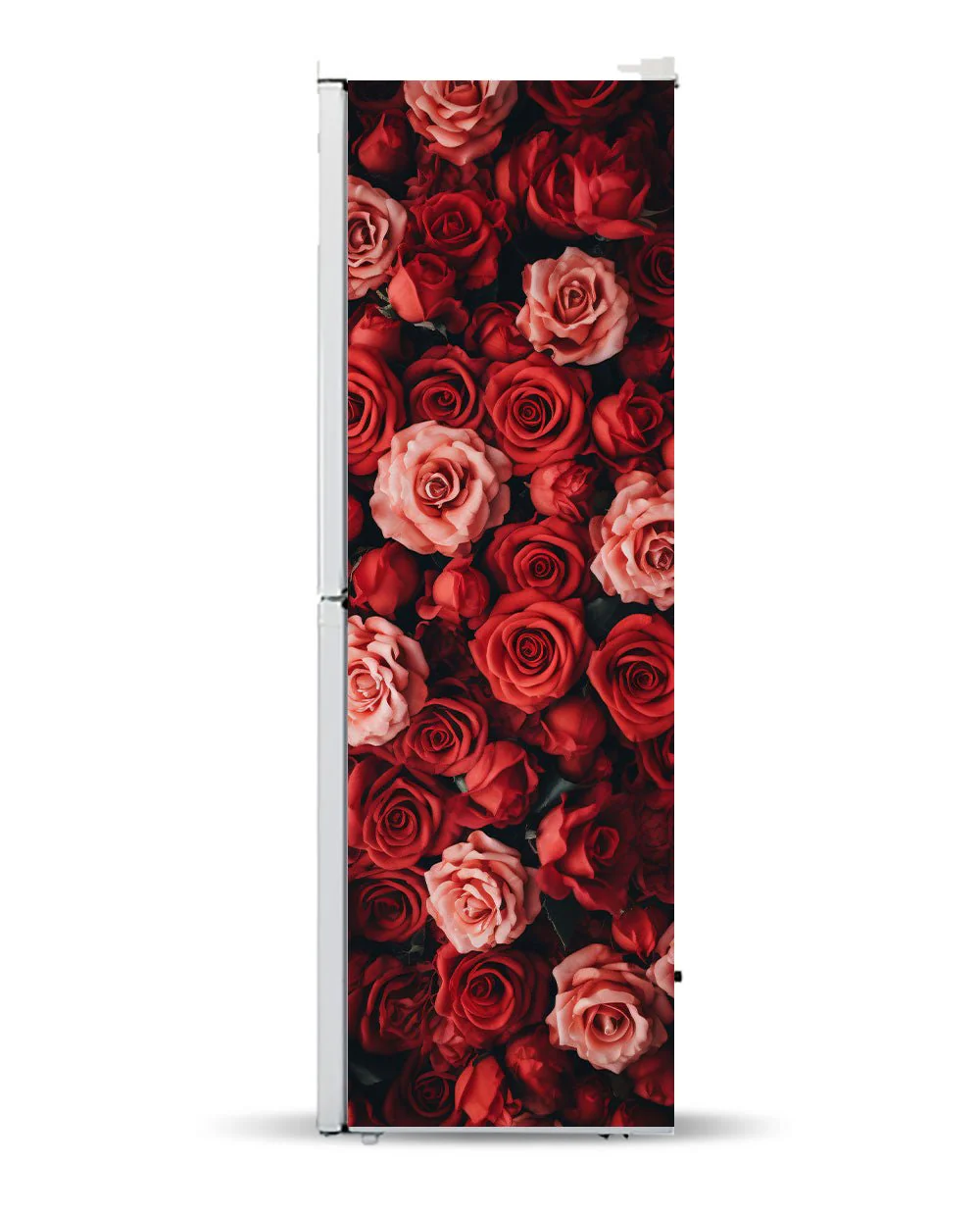 Red Roses - Image 9
