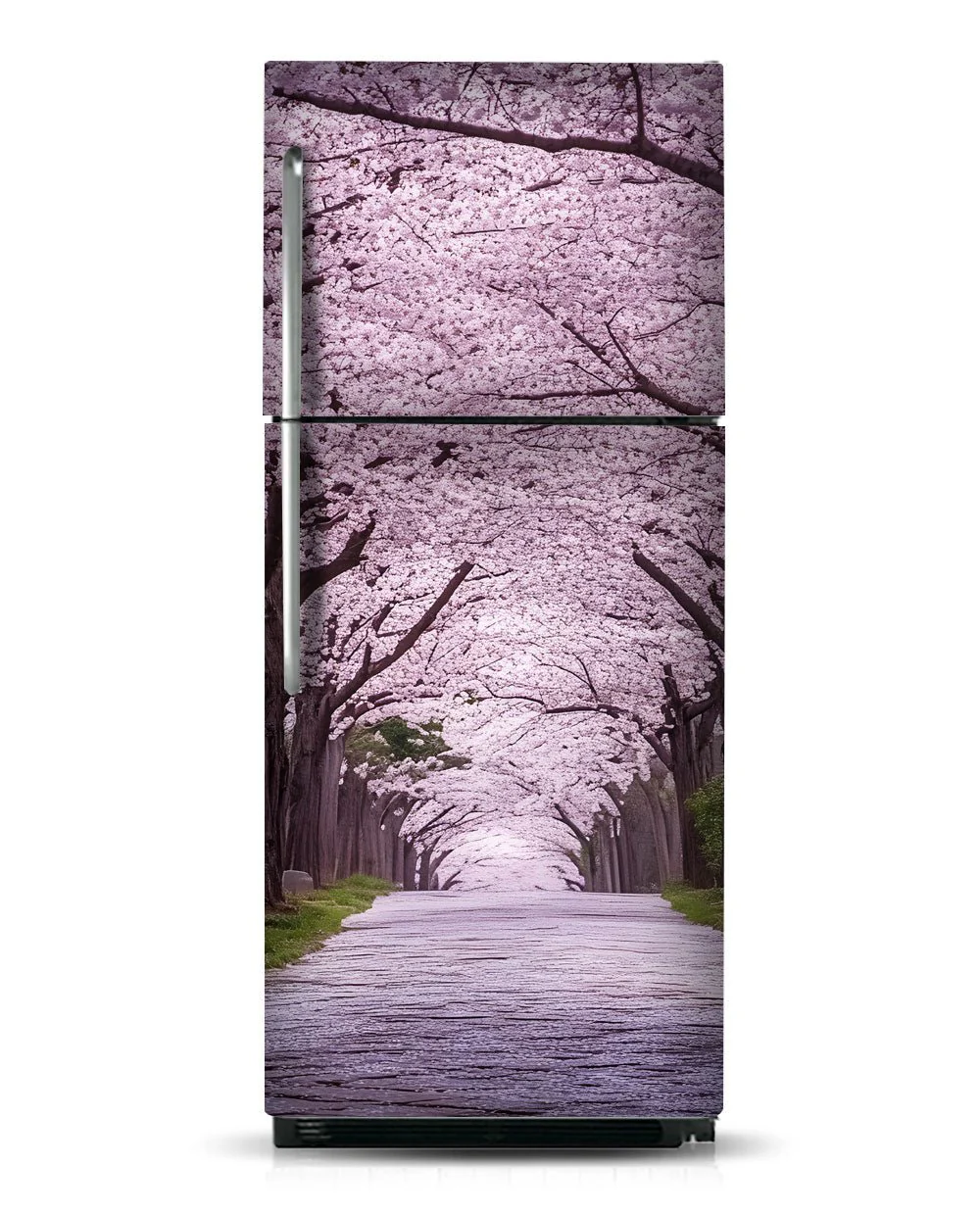 Sakura - Image 10