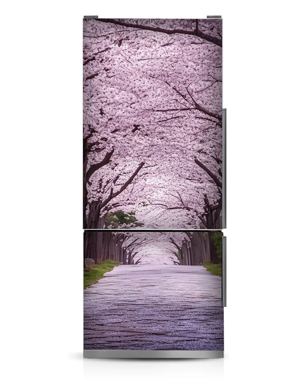 Sakura - Image 11