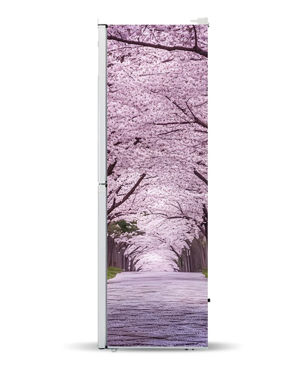Sakura - Image 9