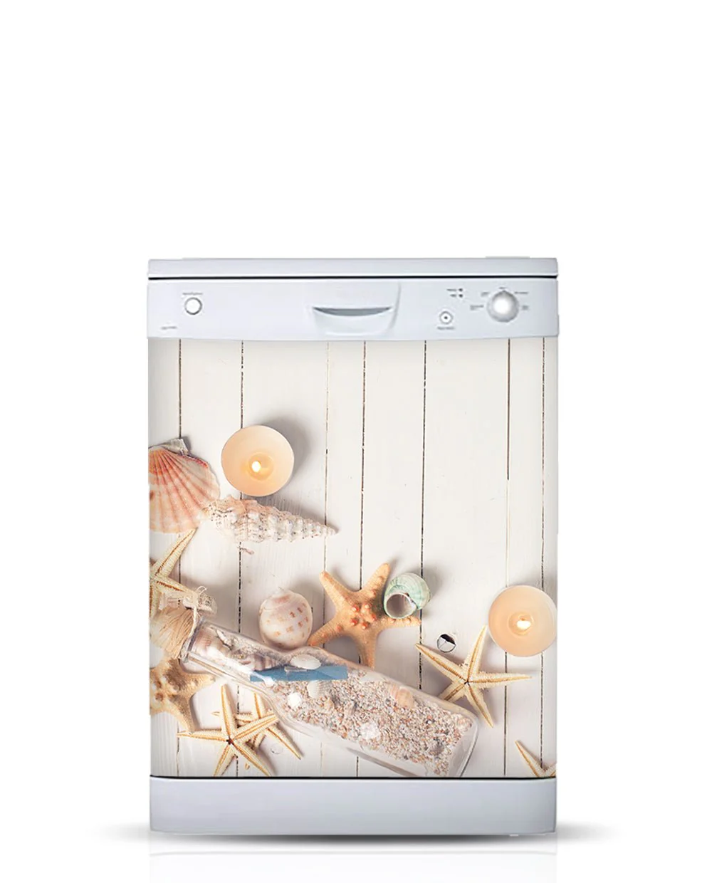 Seashells - Image 5
