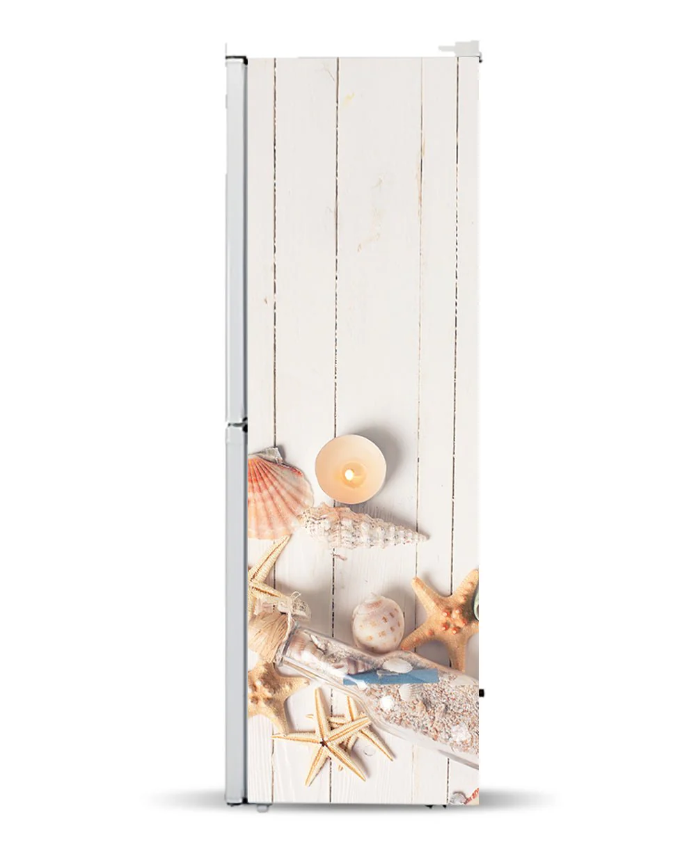 Seashells - Image 8